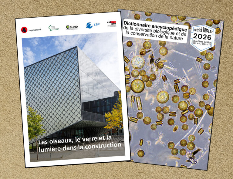 Un rapport passionnant et un dictionnaire essentiel