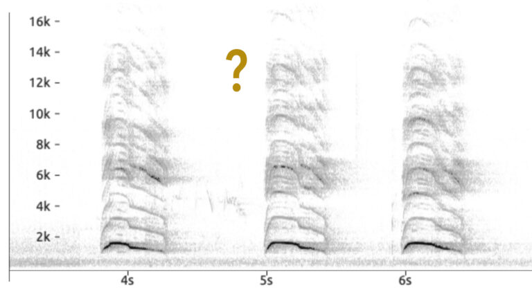 Quel est ce chant bizarre ?