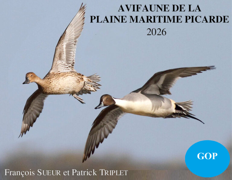 Le livre « Avifaune de la Plaine Maritime Picarde »